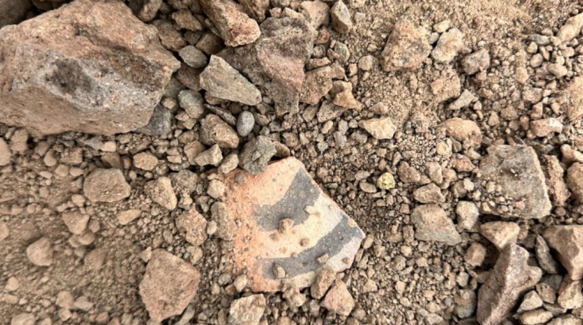 El descubrimiento que sorprendió en la vecina provincia de San Juan. Foto: Gendarmería Nacional.&nbsp; 