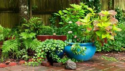 Toma nota: estas son las plantas que deberías cultivar en abril. Imagen de Freepik.