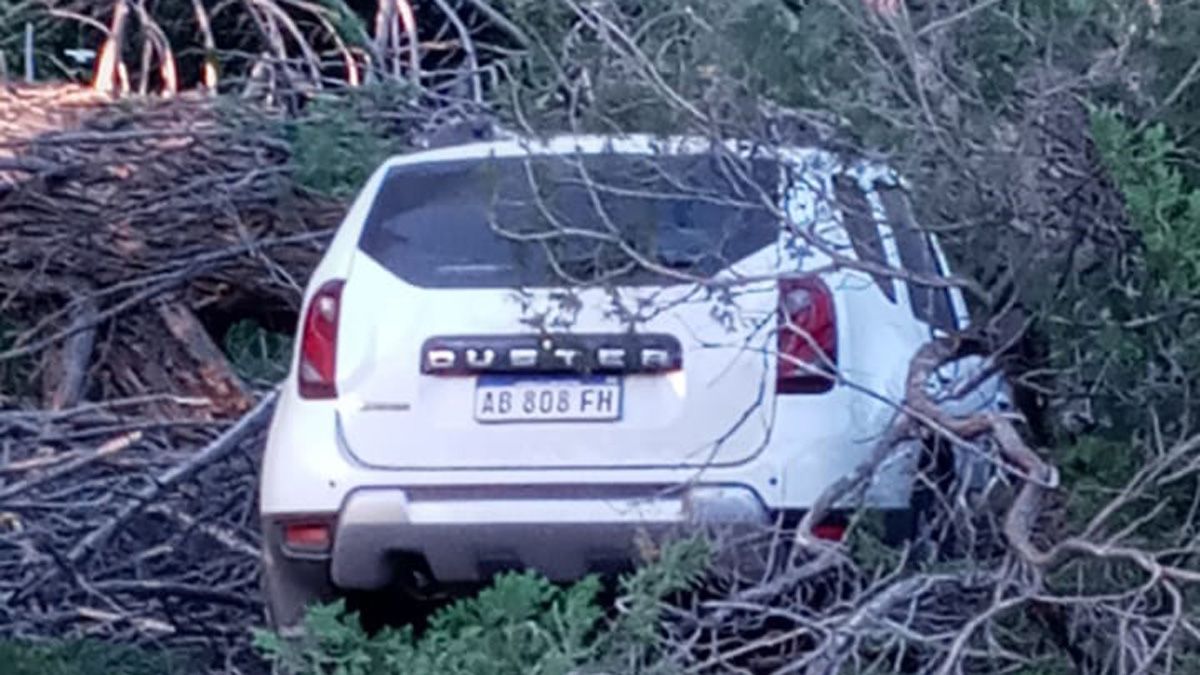Así quedó la trompa del Renault Duster al que se le vino encima un gigantesco pino en el Parque.