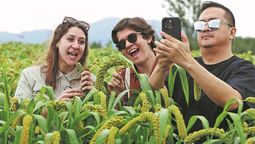 Tres visitantes observan de cerca el mijo cultivado en un campo del condado de Lingqiu, provincia de Shanxi. ZHU XINGXIN / CHINA DAILY