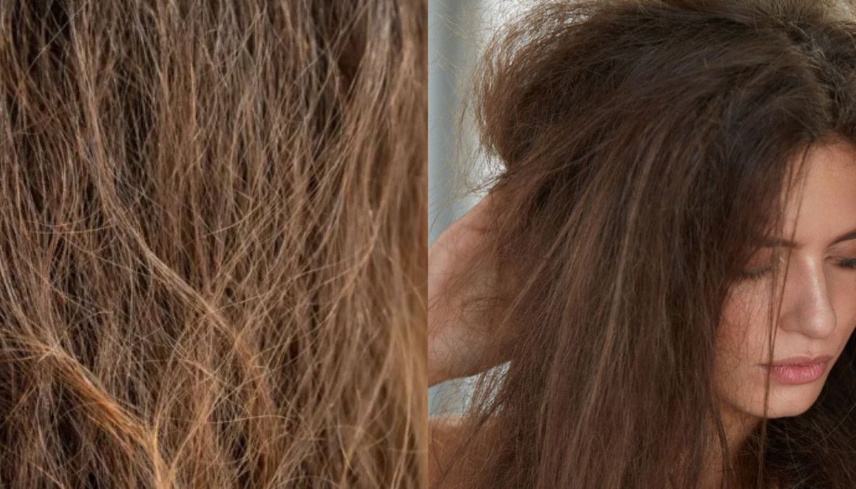 Con los cuidados adecuados y esta mascarilla casera, puedes eliminar el frizz de tu pelo. Con los cuidados adecuados y esta mascarilla casera, puedes eliminar el frizz de tu pelo.
