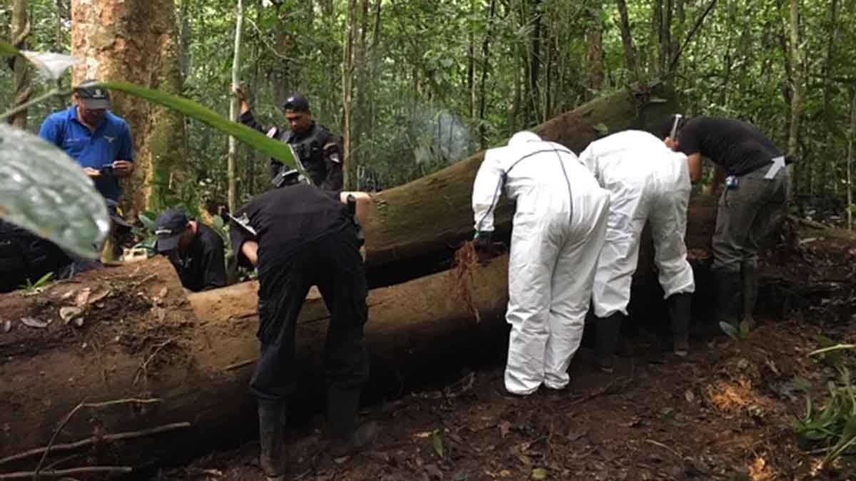 El psicópata del sur: un femicida que violó y mató entre 6 y 11 mujeres en Costa Rica