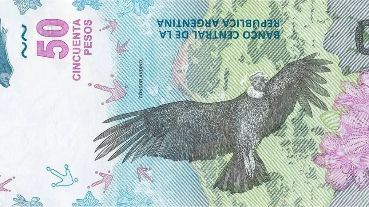 Dos insólitos detalles elevan el valor de este billete. Dos insólitos detalles elevan el valor de este billete. 