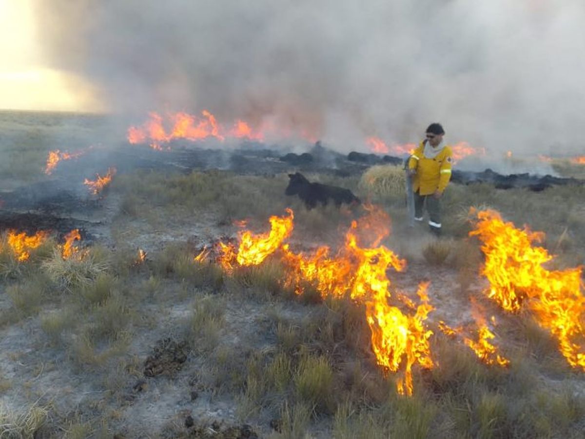 La quema de pastizales ocurre antes de la llegada de las lluvias y la primavera. Esto es lo que generalmente provoca grandes incendios en monte nativo. Imagen ilustrativa. La quema de pastizales ocurre antes de la llegada de las lluvias y la primavera. Esto es lo que generalmente provoca grandes incendios en monte nativo. Imagen ilustrativa.