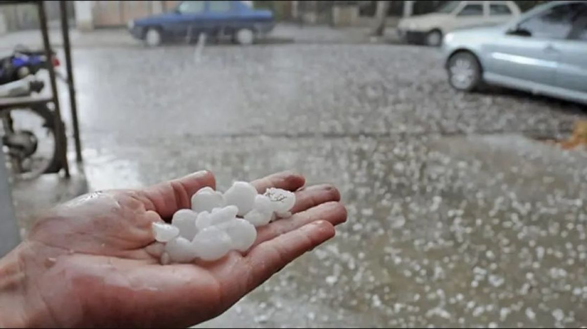 Granizo de tamaño pequeño a mediano provocó pérdidas de hasta 35% en viñedos