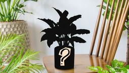 Descubrí cuál es la mejor planta tropical para tener en casa.