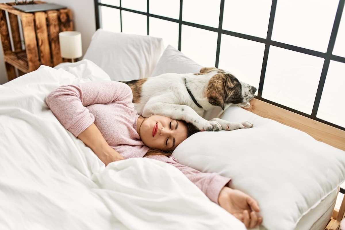 Dormir con tu perro en la misma cama: qué significa y por qué no recomiendan hacerlo Dormir con tu perro en la misma cama: qué significa y por qué no recomiendan hacerlo