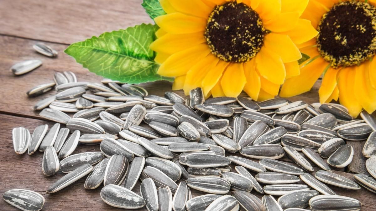 La famosa semilla natural que te ayudará a bajar de peso de forma saludable La famosa semilla natural que te ayudará a bajar de peso de forma saludable