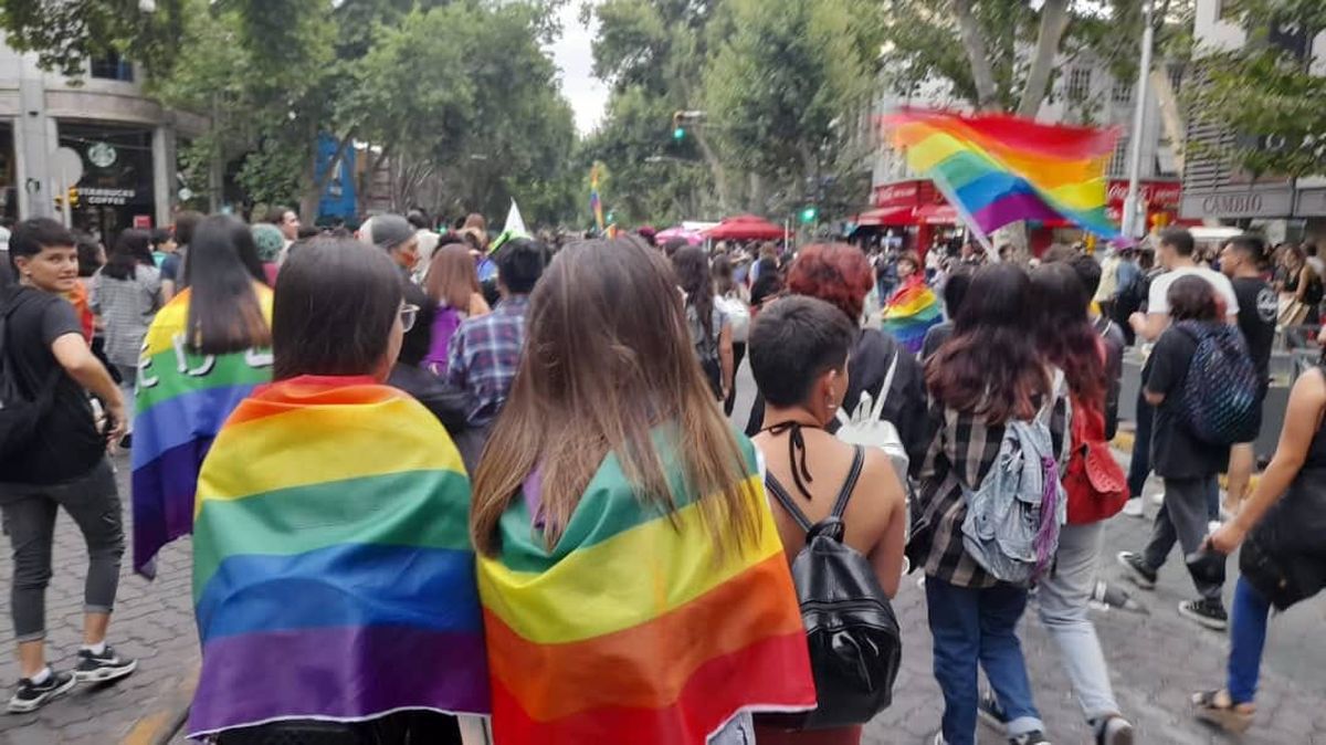 Una de las actividades desarrolladas por la Red Inclusión Mendoza.