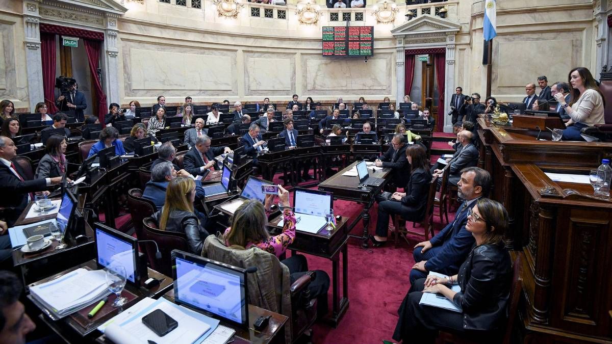 El Senado de la Nación, el día en que rechazaron el DNU del presidente Javier Milei.
