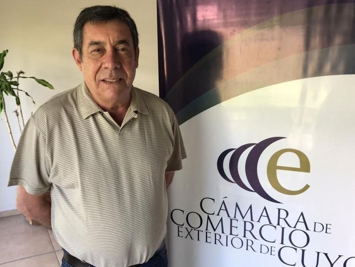 Mario Bustos Carra, gerente general de la Cámara de Exportadores de Cuyo, calificó a la decisión de Alberto Fernández de sumar a la Argentina a los BRICS, como