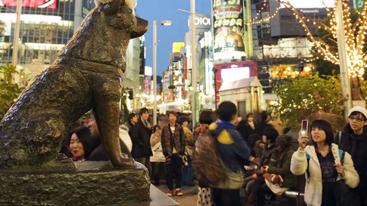 Hachiko, el perrito más fiel, tiene su estatua en la popular estación de trenes Shibuya, en Tokio, Japón. Hachiko, el perrito más fiel, tiene su estatua en la popular estación de trenes Shibuya, en Tokio, Japón.
