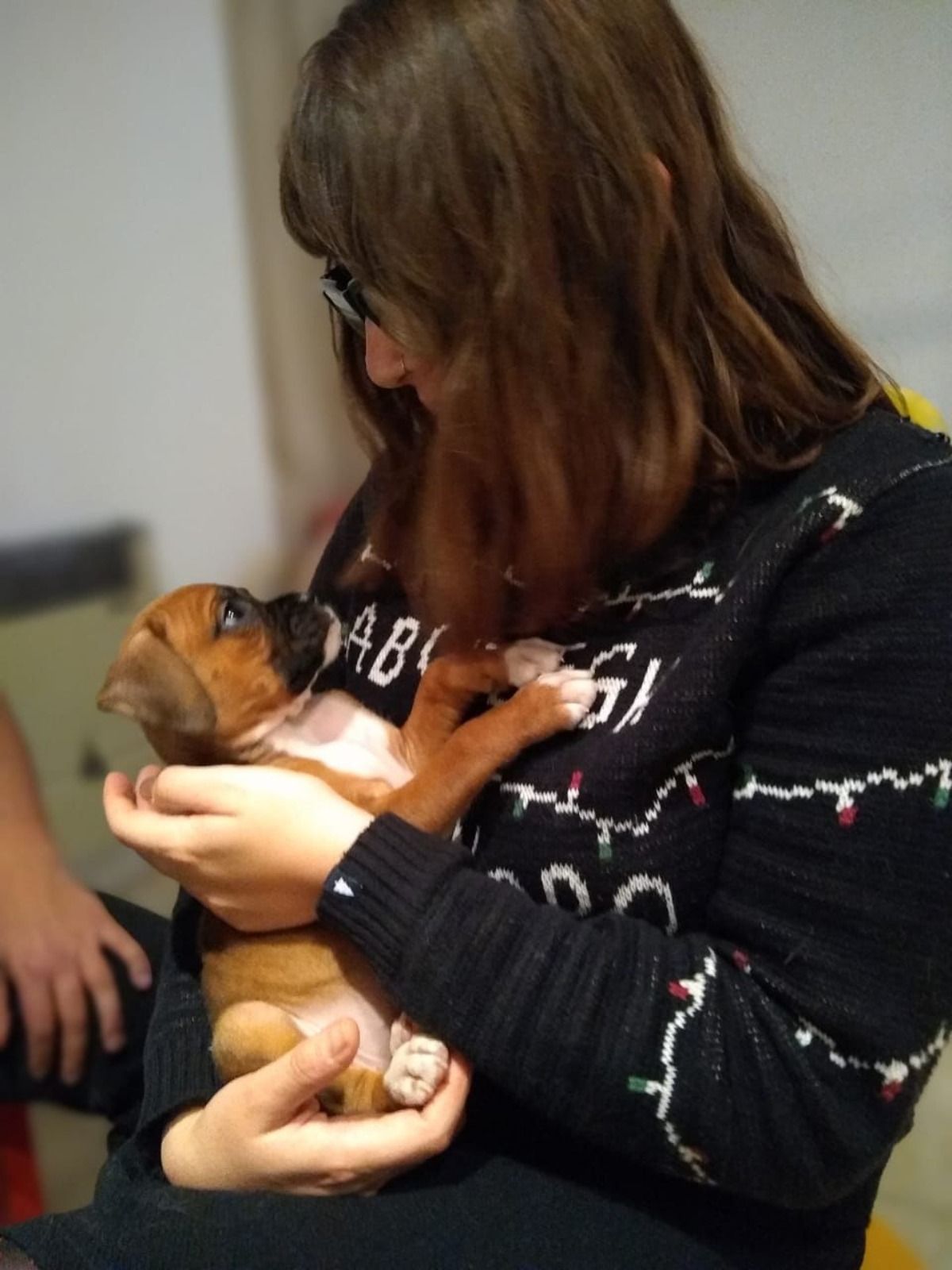 El amor despu&eacute;s del amor. Elena quiere volver a ver a su perrita y compartir la tenencia con su ex.