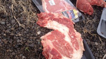 Un robo de filetes provocó una persecución policial