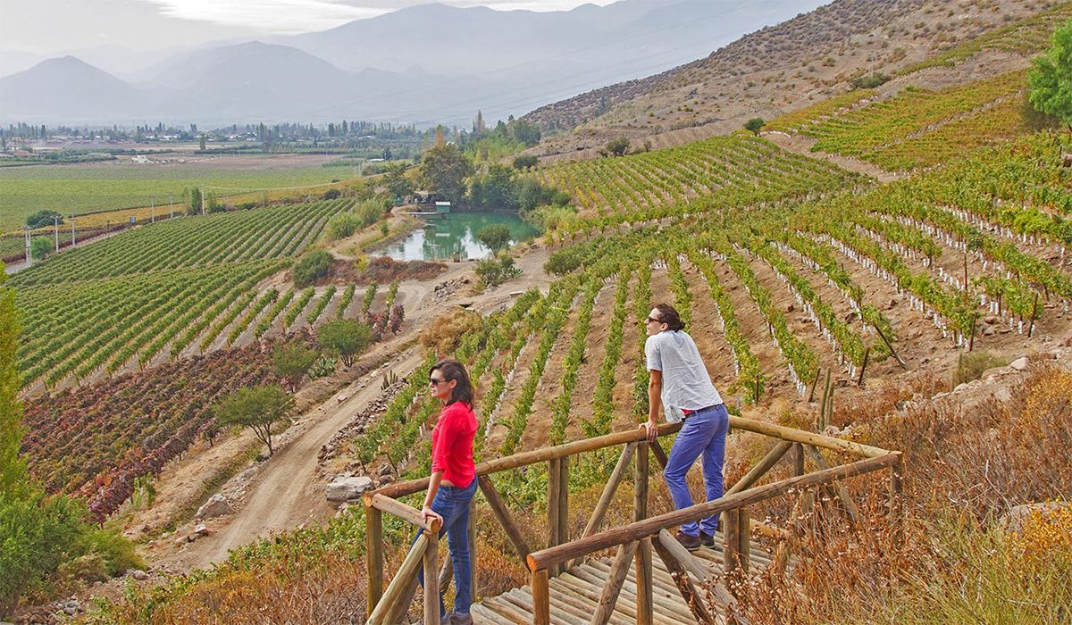 Una típica imagen de los viñedos de Chile sobre los cerros.