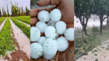 Nación oficializó la emergencia agropecuaria en Mendoza por tormentas y el granizo Nación oficializó la emergencia agropecuaria en Mendoza por tormentas y el granizo