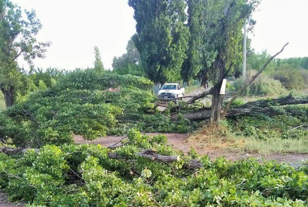 Tras las intensas lluvias que se han registrado estos últimos días en toda Mendoza, Defensa Civil realizó 362 intervenciones asistiendo a personas.