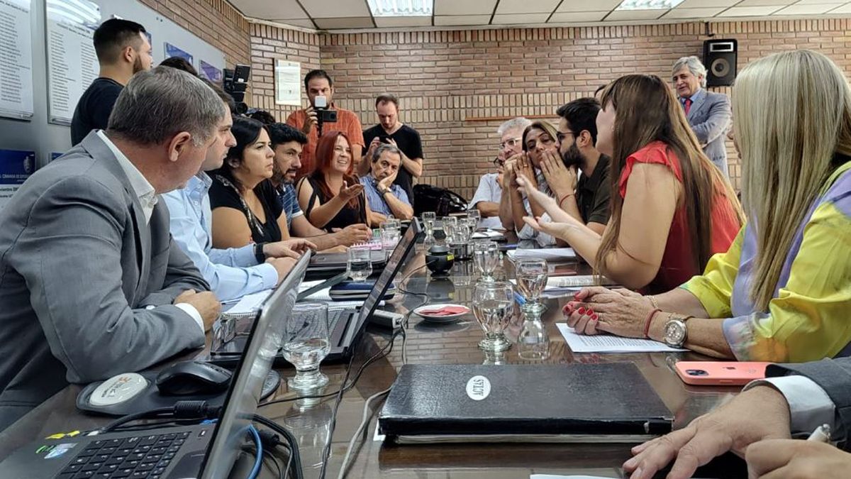 Janina Ortiz se presentó ante la Comisión de Legislación y Asuntos Constitucionales de la Cámara de Diputados.