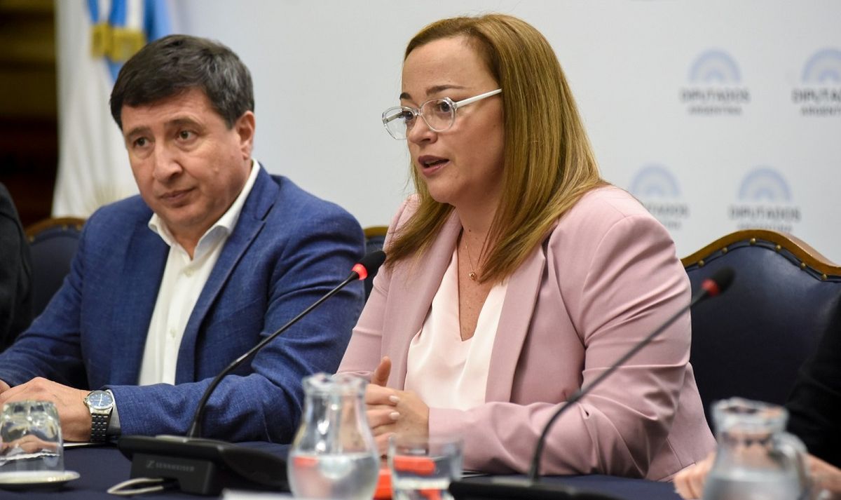 La titular de la Cámara baja, cecilia Moreau se expresó de esta manera durante su alocución en el Seminario Ley de Asistencia Social.