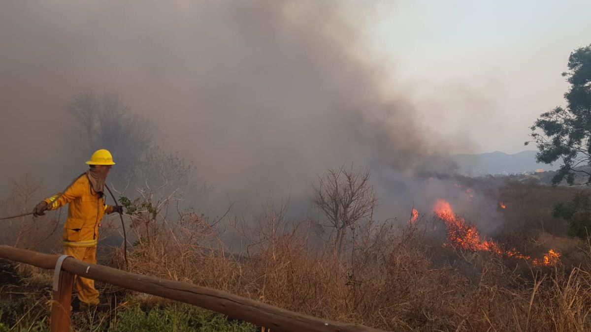 Los incendios forestales en San Luis ya han llegado a zonas pobladas.