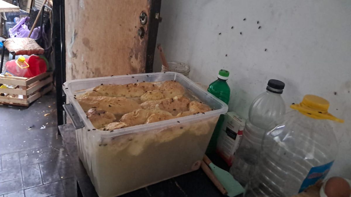Carnes, mariscos, y otros alimentos estaban podridos y rodeados de moscas en una casa del denunciado por estafas. Carnes, mariscos, y otros alimentos estaban podridos y rodeados de moscas en una casa del denunciado por estafas.