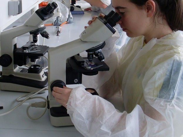 Desde Mendoza enviaron un análisis al Malbrán para confirmar si se trata o no de la nueva variante de la gripe. Desde Mendoza enviaron un análisis al Malbrán para confirmar si se trata o no de la nueva variante de la gripe.