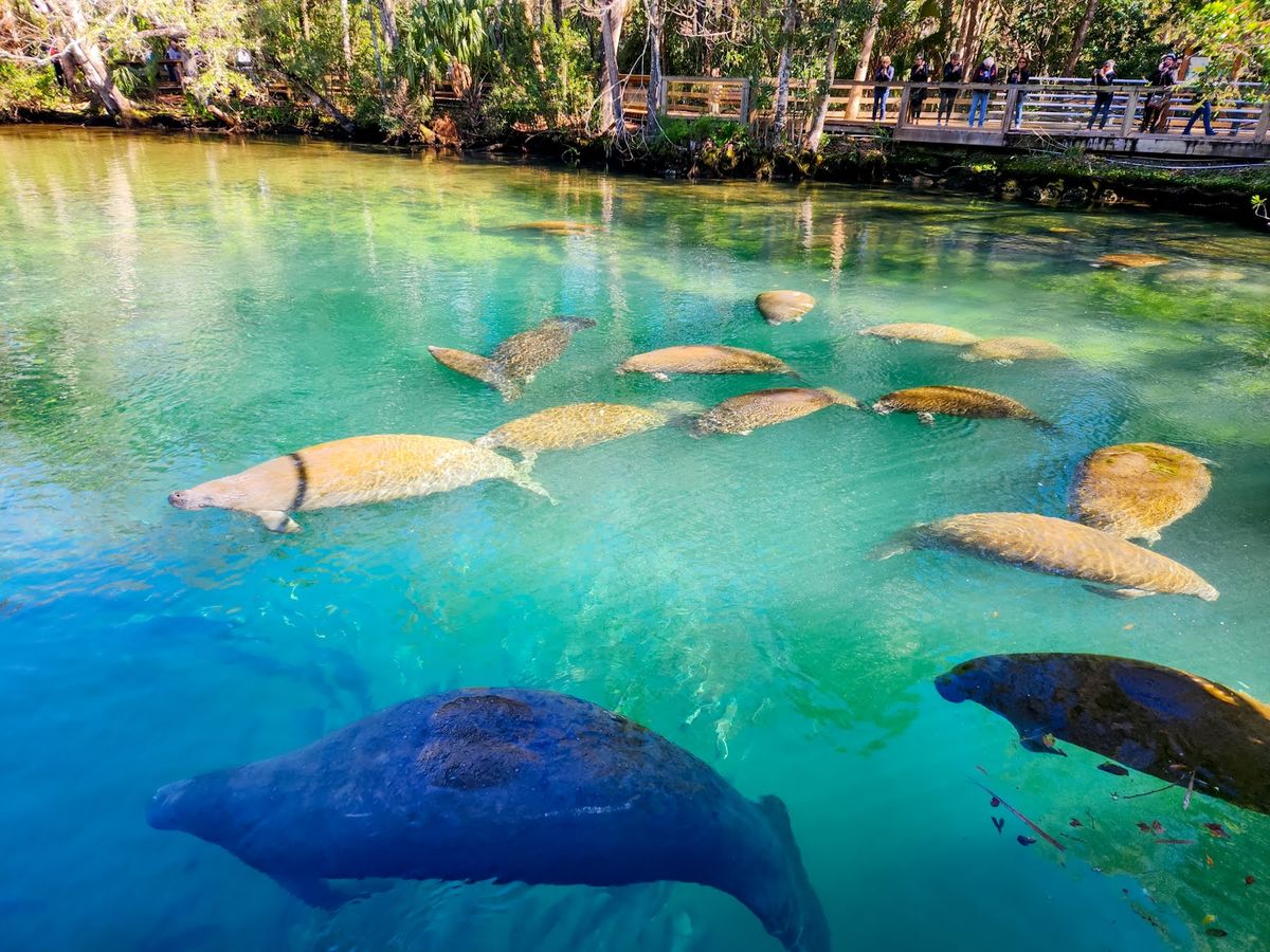 El río que le da nombre a este pueblo es una maravilla natural. El río que le da nombre a este pueblo es una maravilla natural.