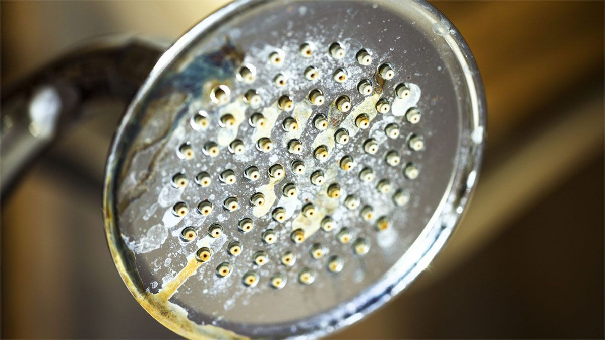 Cómo limpiar el sarro de la flor de la ducha y ganar más presión de agua
