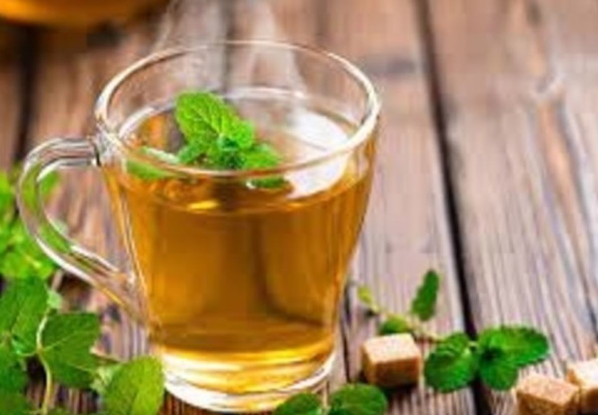 La menta junto al laurel alivia el malestar estomacal, reduce la inflamación y mejora la digestión La menta junto al laurel alivia el malestar estomacal, reduce la inflamación y mejora la digestión