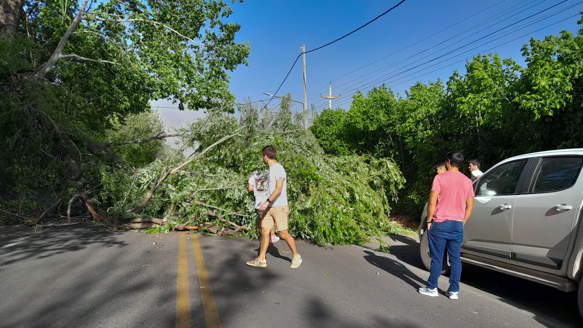 Se espera un fen&oacute;meno de viento Zonda para este viernes en Mendoza. Sigue el calor durante todo el fin de semana.