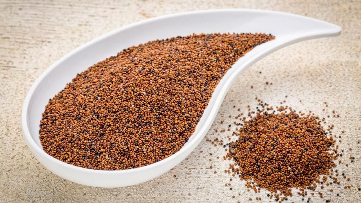 La semilla de kañiwa formó parte de la alimentación de pueblos andinos durante milenios.