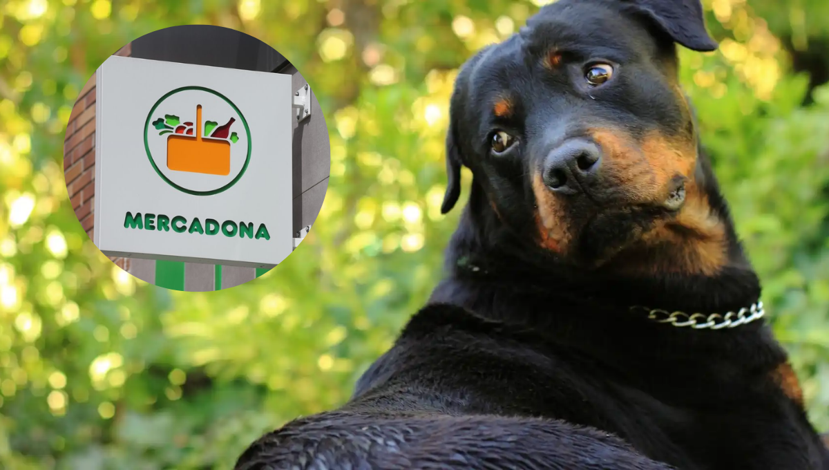 Dile adiós a las pulgas y garrapatas de tu perro con este increíble producto de Mercadona