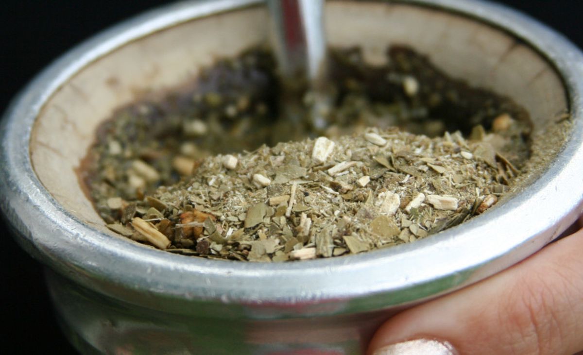 Yuyos para el mate. Mate rico: los mejores yuyos y qué beneficios tienen para salud.