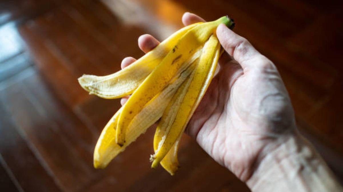 Reciclaje: no tirés las cáscaras de banana, guardalas y aprovecha estos maravillosos beneficios para el hogar