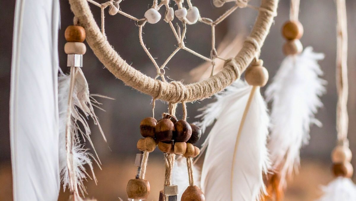 Las plumas han cautivado a la humanidad durante milenios, sirviendo como poderosos s&iacute;mbolos en culturas de todo el mundo.