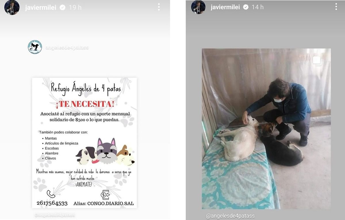 Javier Milei reposteó una publicación Ángeles de cuatro patas, un refugio mendocino que pide colaboración. Javier Milei reposteó una publicación Ángeles de cuatro patas, un refugio mendocino que pide colaboración.