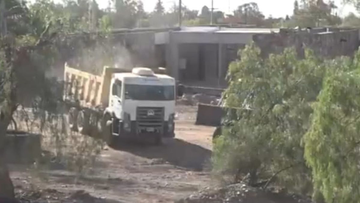 Algunos animales se paralizan ante el ruido de las obras por lo que Ecoparque debió realizar traslados dentro del complejo. Algunos animales se paralizan ante el ruido de las obras por lo que Ecoparque debió realizar traslados dentro del complejo.