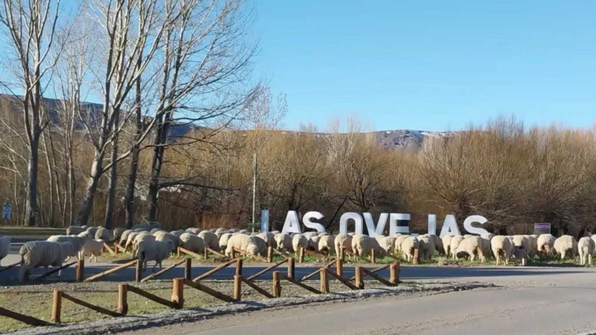 Patagonia: dónde queda el mirador más panorámico de los paisajes nacionales