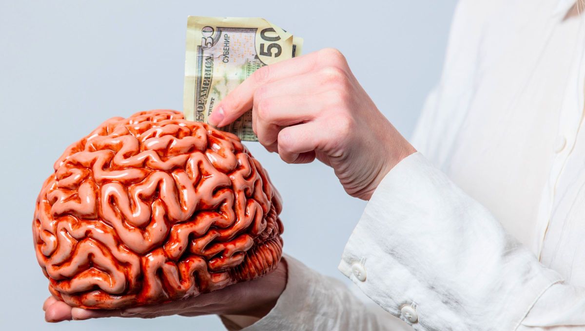 Neurociencia: si sos de las personas que gasta mucho dinero, tu cerebro funciona diferente al de los demás.. Fuente Canva
