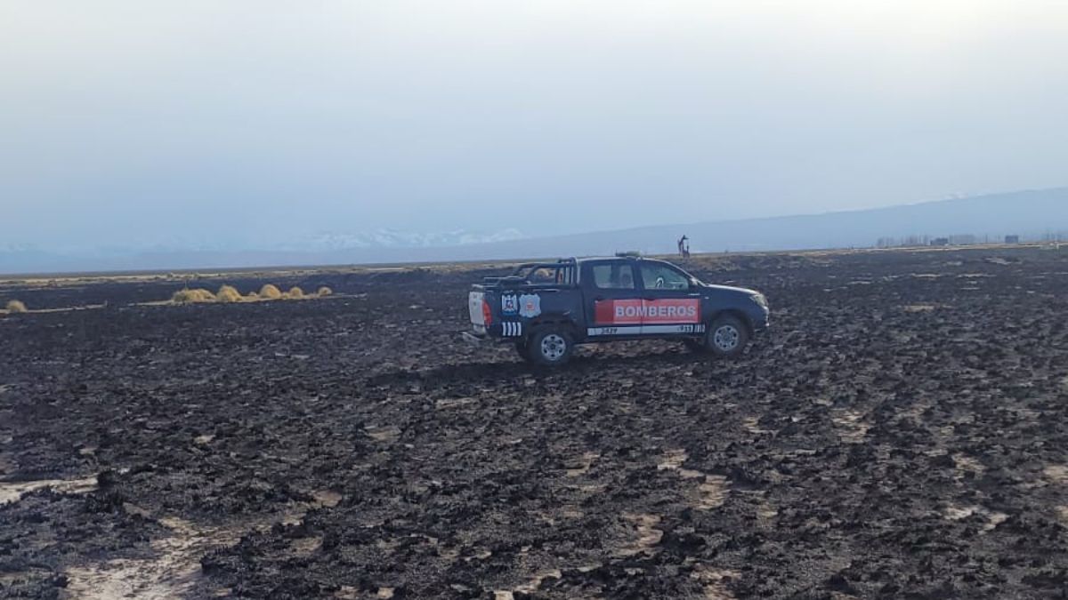 El Gobierno anunció que el incendio en San Rafael está bajo control.