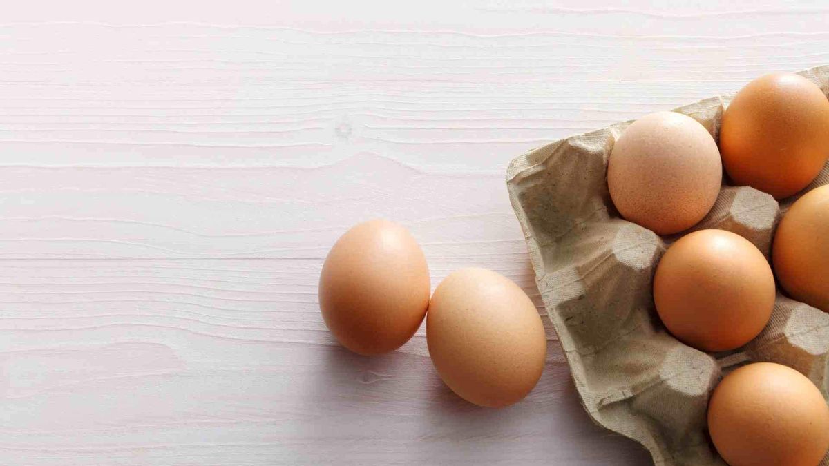 Maple de huevos: cómo utilizarlo para alejar para siempre a las plagas del jardín Maple de huevos: cómo utilizarlo para alejar para siempre a las plagas del jardín