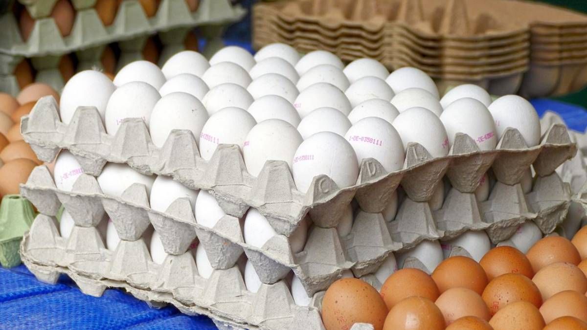 Recicla el cartón de maple de huevos con estas espectaculares ideas para tu hogar