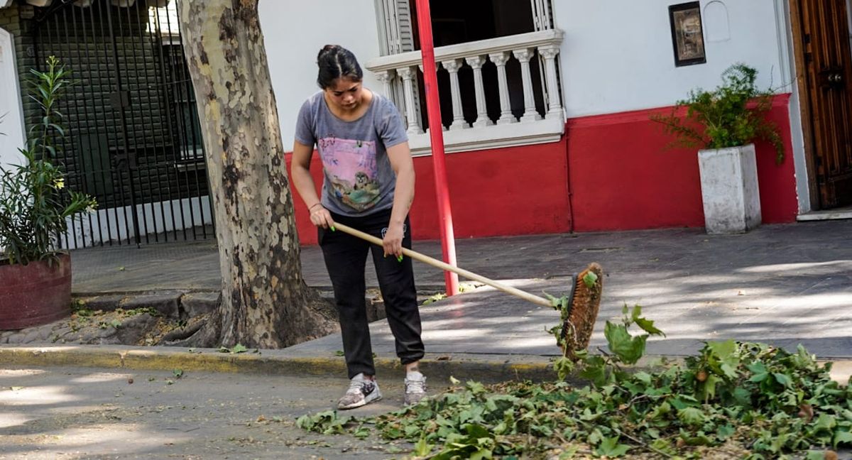 Como consecuencia del Zonda hay cientos de ramas y hojas en todas las calles. Como consecuencia del Zonda hay cientos de ramas y hojas en todas las calles.