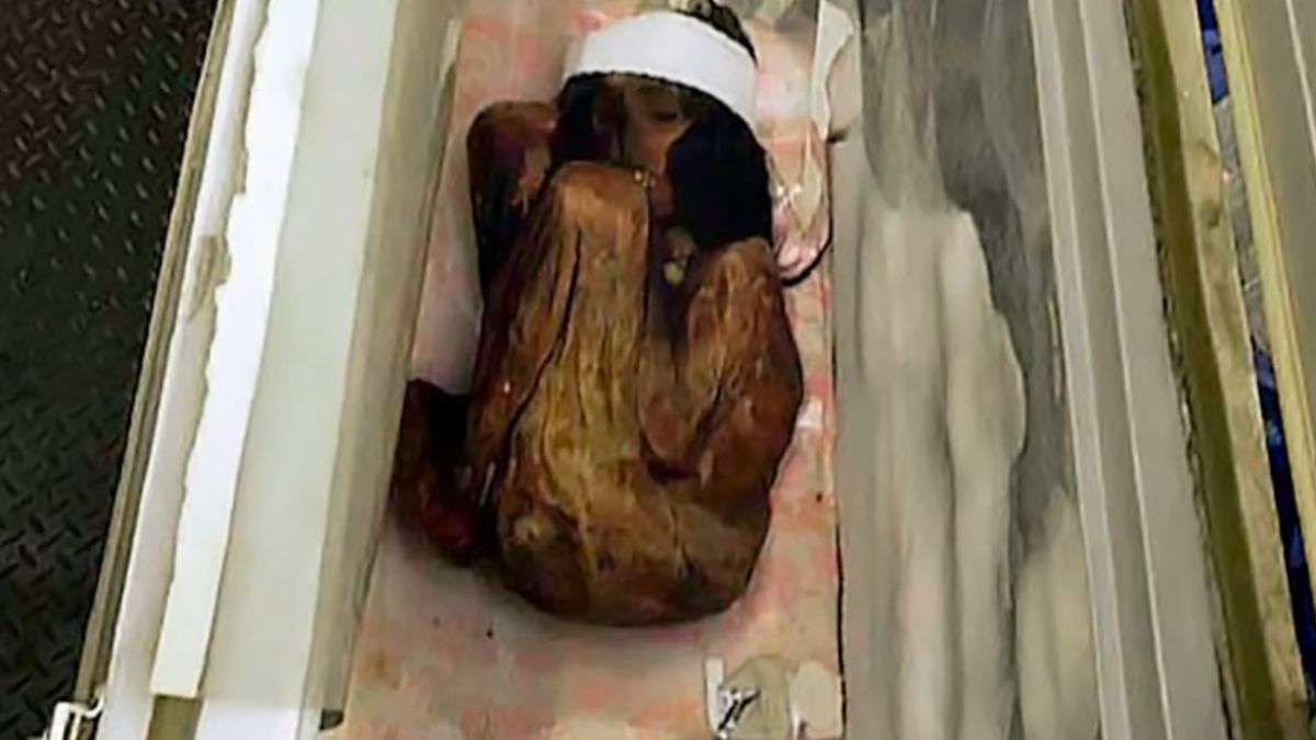 La momia del niño hallado en el Aconcagua se encuentra en un freezer del Conicet. La momia del niño hallado en el Aconcagua se encuentra en un freezer del Conicet.