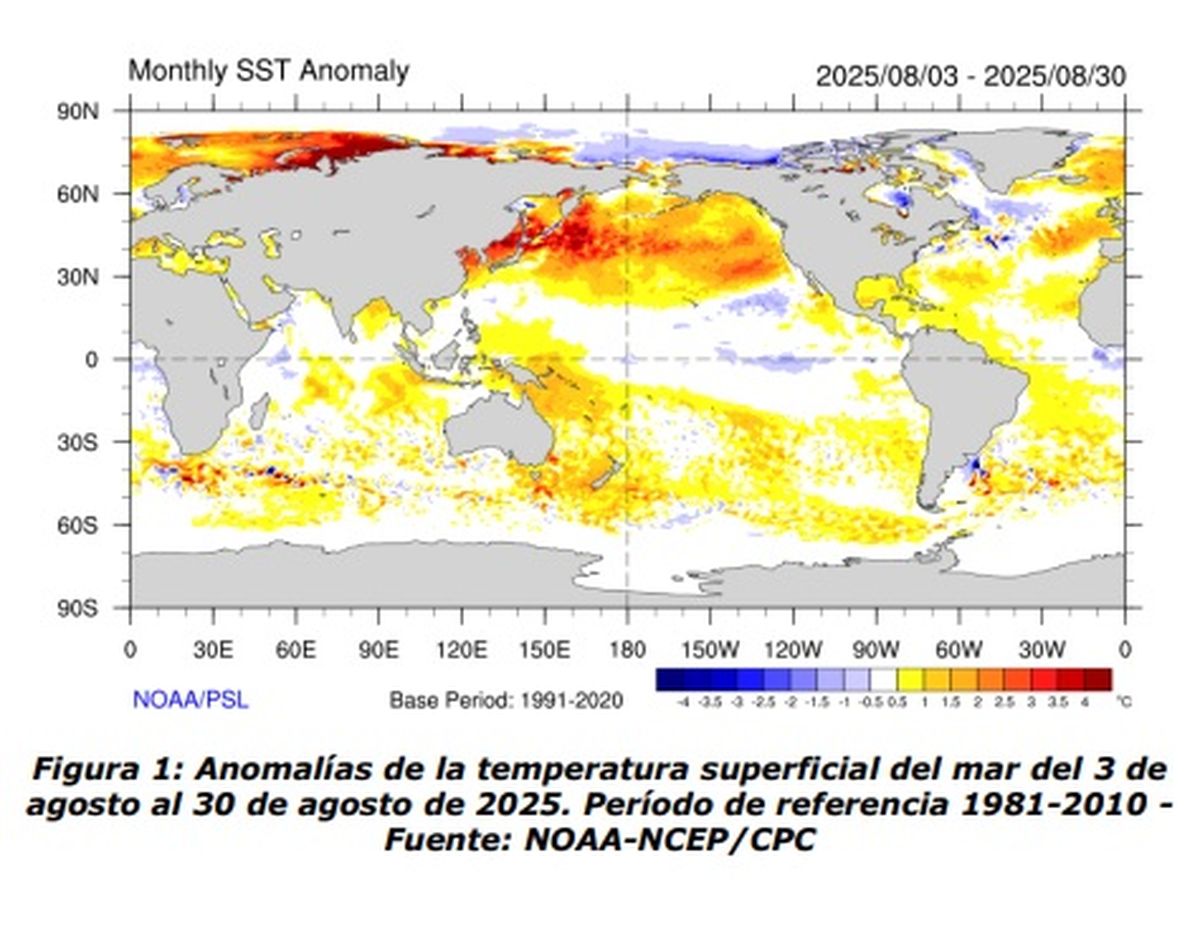 Durante agosto la actividad convectiva en el océano Pacífico ecuatorial fue superior a la normal en el norte de Oceanía. Durante agosto la actividad convectiva en el océano Pacífico ecuatorial fue superior a la normal en el norte de Oceanía.