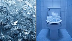¿Por qué se volvió viral el truco de poner cubos de hielo en el inodoro? ¿Por qué se volvió viral el truco de poner cubos de hielo en el inodoro?