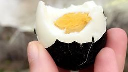 No es común ver un huevo negro, un producto de la gallina Ayam Cemani.