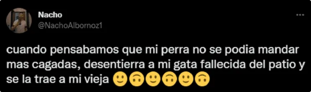 ¿Qué desenterró? La perra desenterró algo raro y aterró a toda la familia.