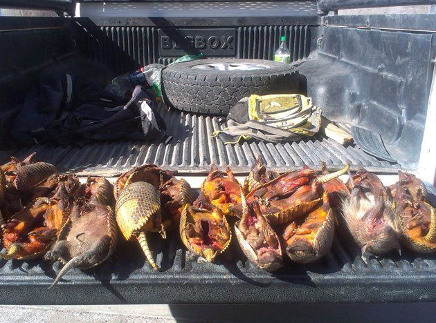 Secuestraron 25 piches a cazadores furtivos en Las Paredes