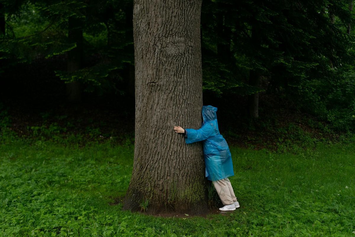 Este movimiento tiene poco que ver con la protección al medio ambiente. Este movimiento tiene poco que ver con la protección al medio ambiente. 